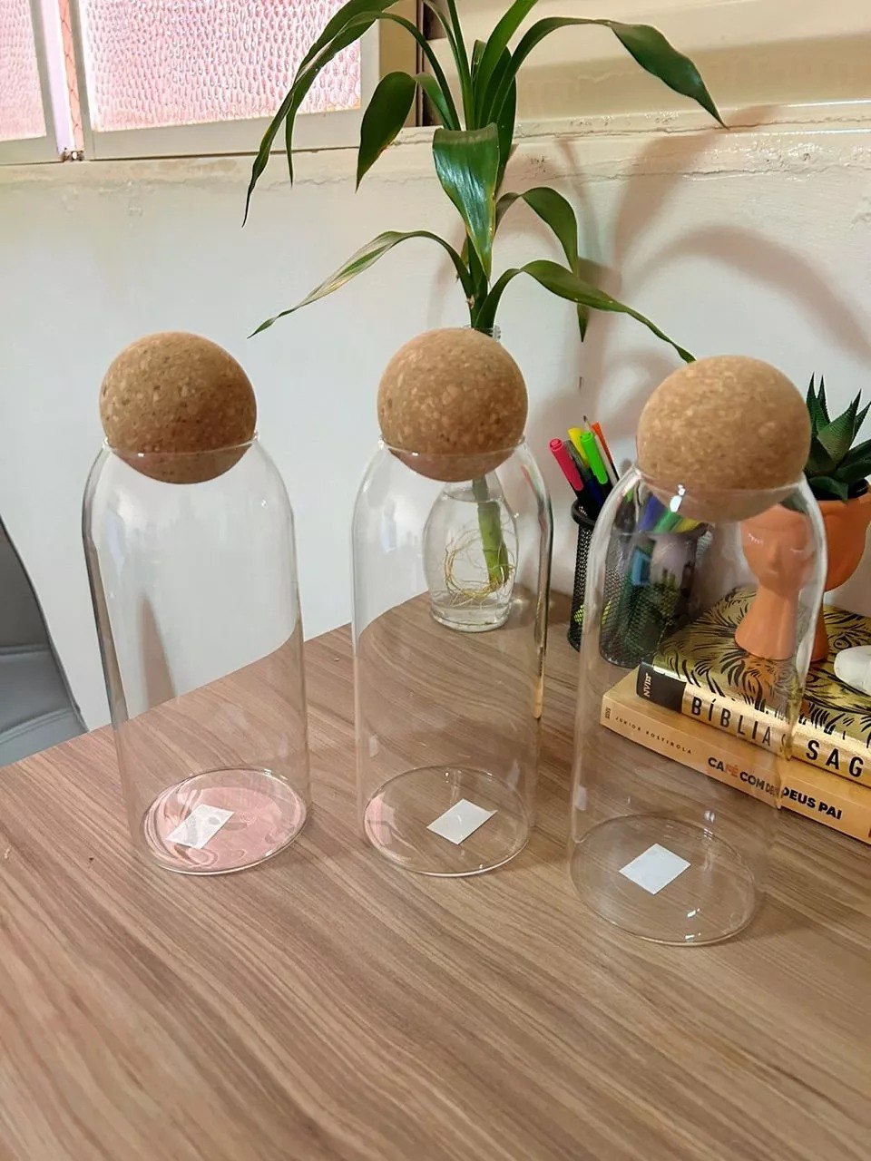 Kit 3 Potes de Vidro Borossilicato 1L