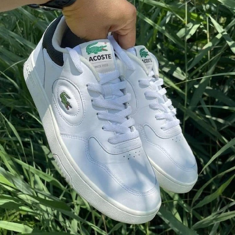 Tênis Lacoste Lineset Masculino